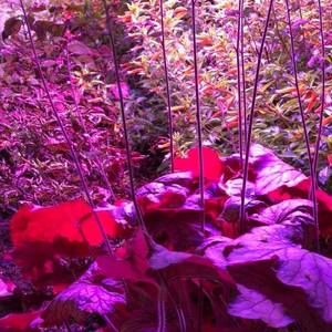 Meet your Posher, Zuri